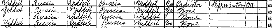 1920 Census